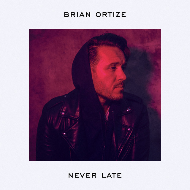Oh the Joy — Brian Ortize cover art